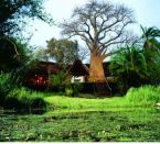 Islands in Africa - Impalila Island Lodge